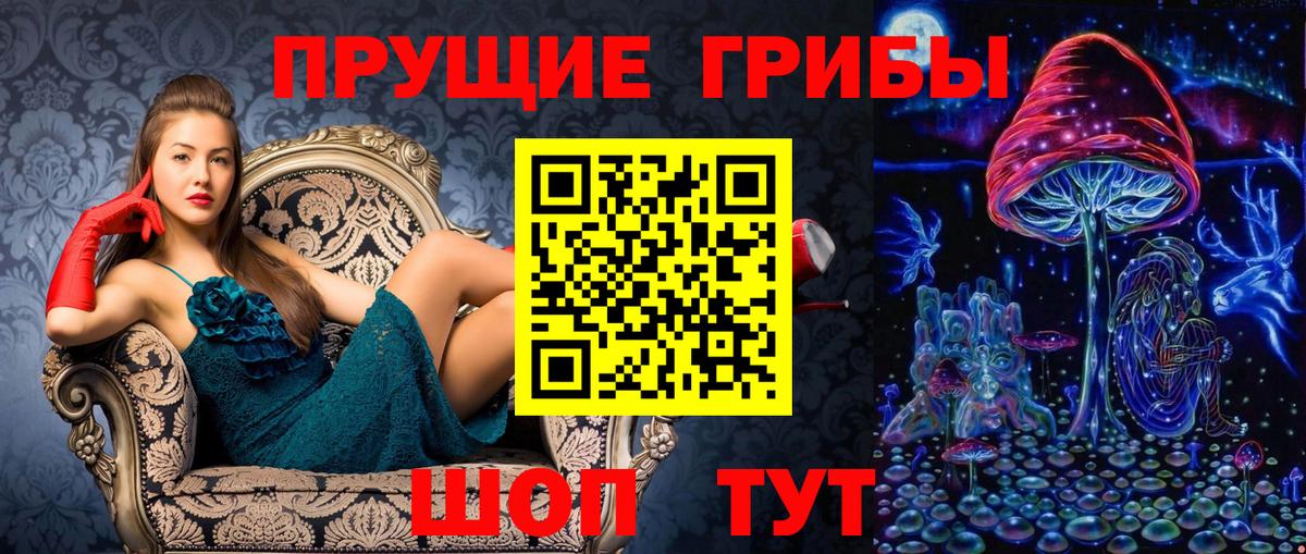 Псилоцибиновые грибы прущие грибы Кандалакша