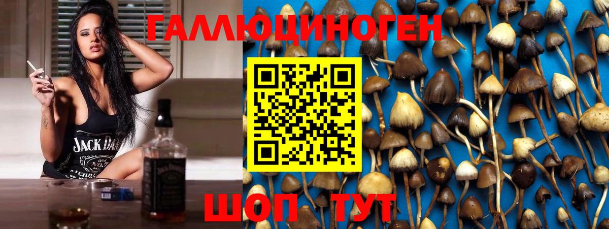 Псилоцибиновые грибы Psilocybine cubensis  цена   Кандалакша  Галлюциногенные грибы мухоморы  Вход с VPN 